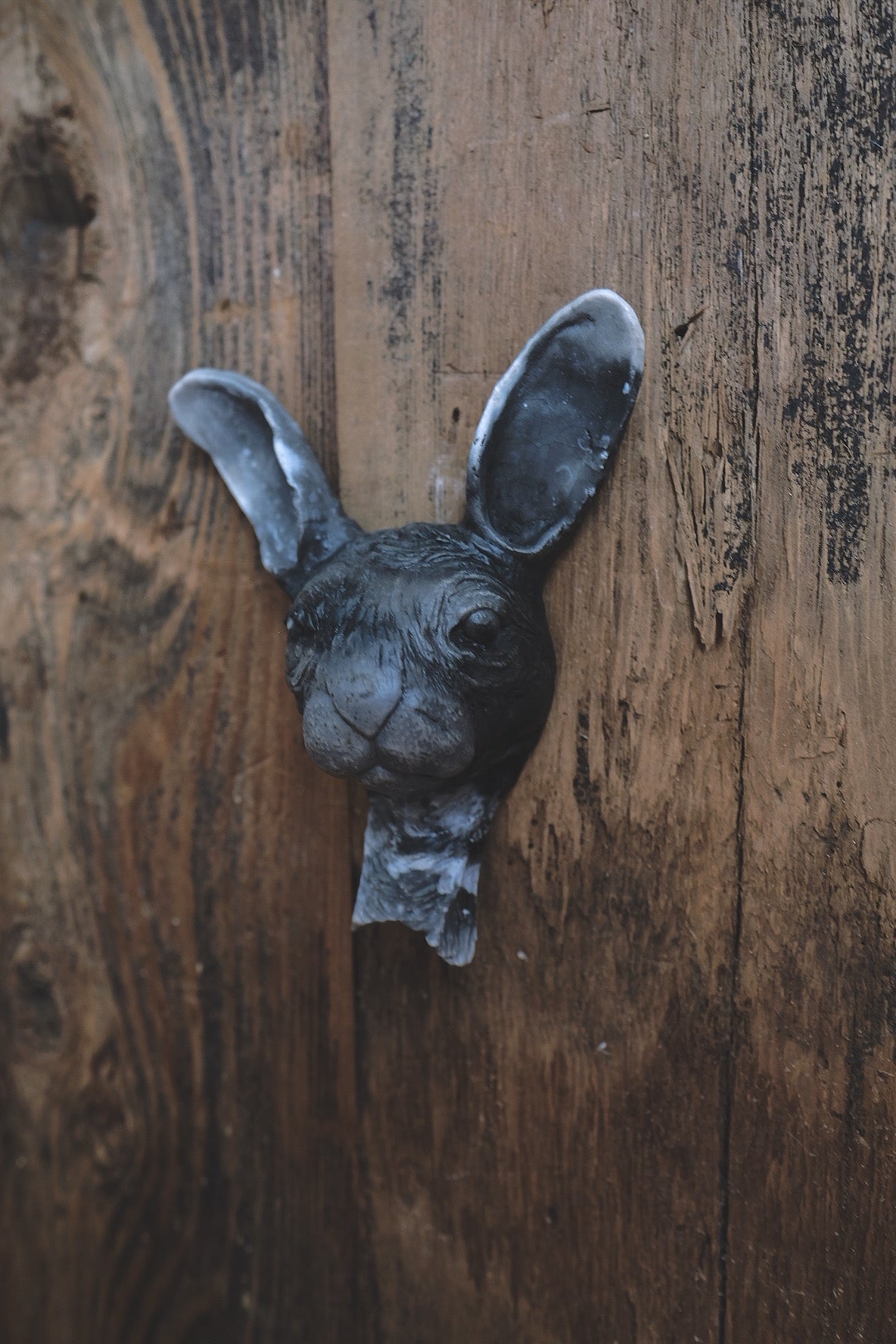 Rabbit Sculpture VII