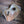 Woodfired Ceramic Bird Mask - SAND DUNE