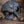 Woodfired Ceramic Bird Mask -  Ocean Seaweed