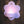 Hanging Tealight Flower