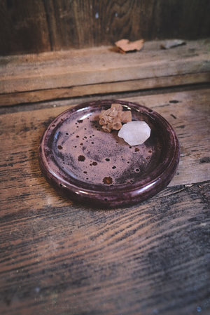 Bubble Plate Raspberry