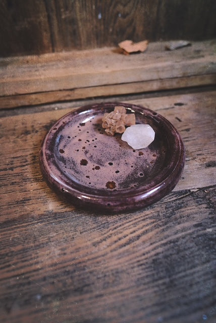 Bubble Plate Raspberry