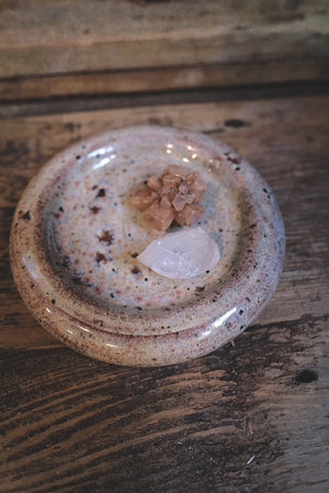 Bubble Plate Strawberry Shortcake