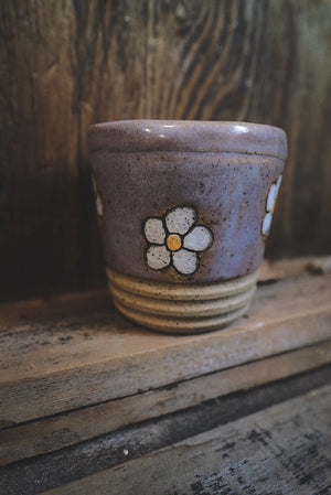 Daisy Sippy Cup I
