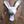 Rabbit Sculpture III