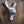 Rabbit Sculpture III