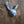 Rabbit Sculpture V