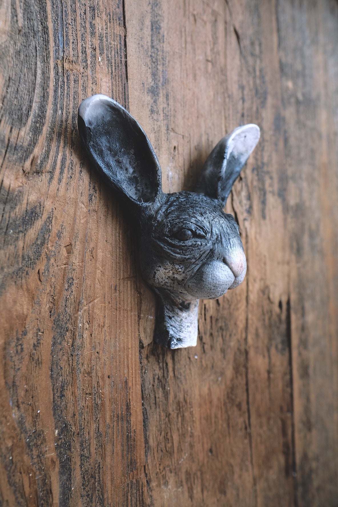 Rabbit Sculpture XI