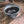 Gray Skull Tea Cup